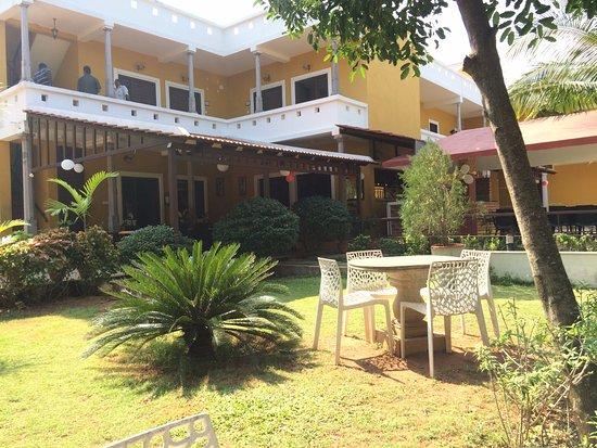 Jardin De Olive