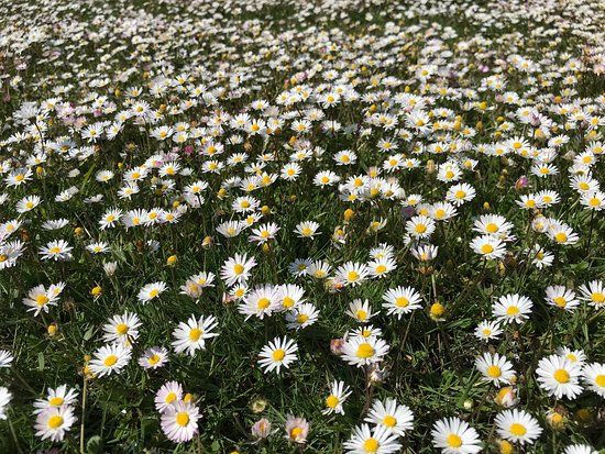 Inselkirche Norderney