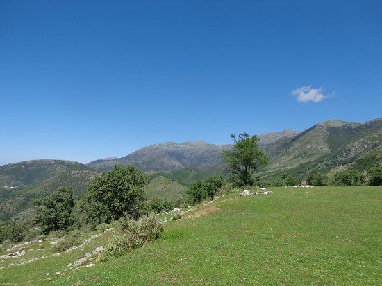 Monastery of Saint Mary Athaliotisa