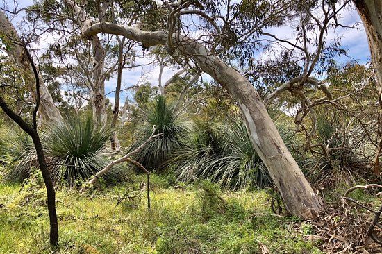 Scott Conservation Park