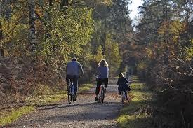 Forest of Rambouillet
