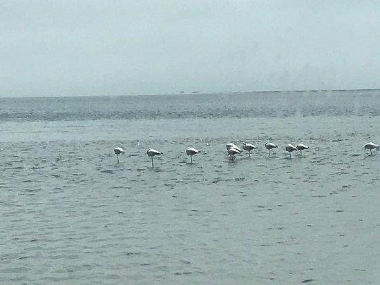 Iris Restaurant Walvis Bay