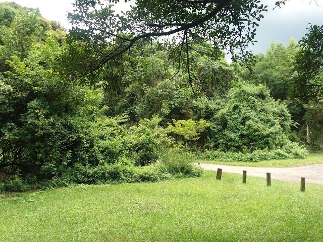 Queen Elizabeth Park Nature Reserve