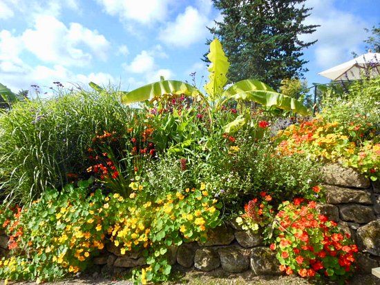 Dorothy Clive Garden