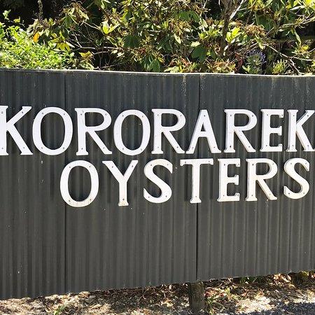 Kororareka Oysters