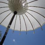 Sorensens Glasshouse