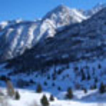 Arapahoe Springs Bar & Grill