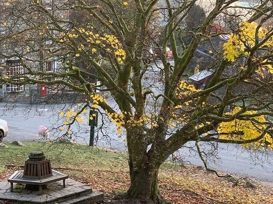 Slates Coffee & Kitchen