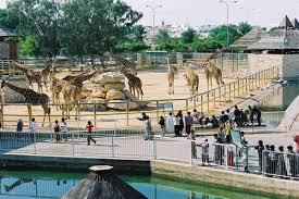 Doha Zoo