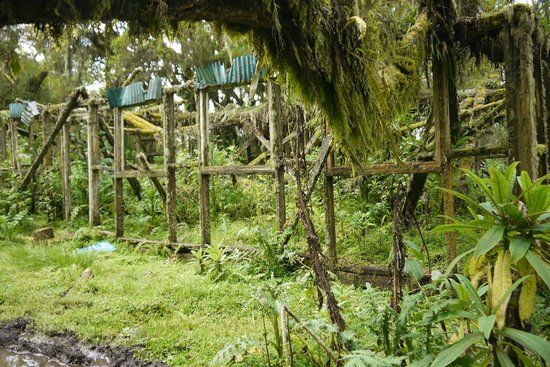 Karisoke Research Center