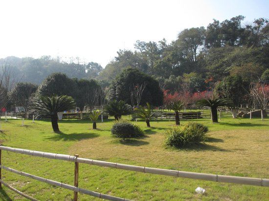 Wenzhou Huagai Mountain