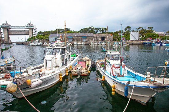Port of Numazu