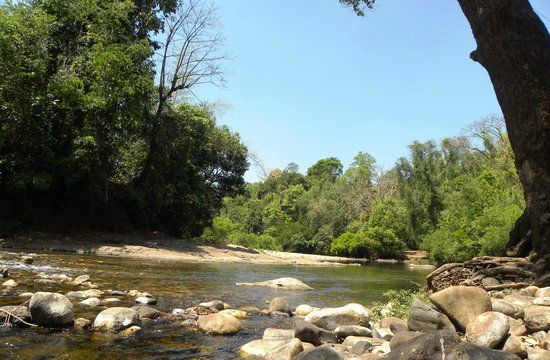 Aralam Wildlife Sanctuary