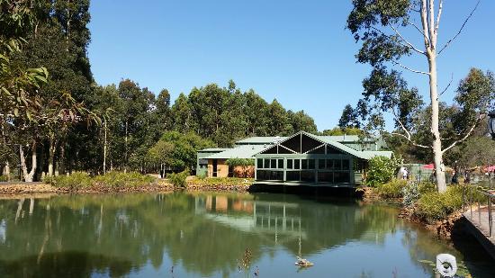 The Grove Distillery