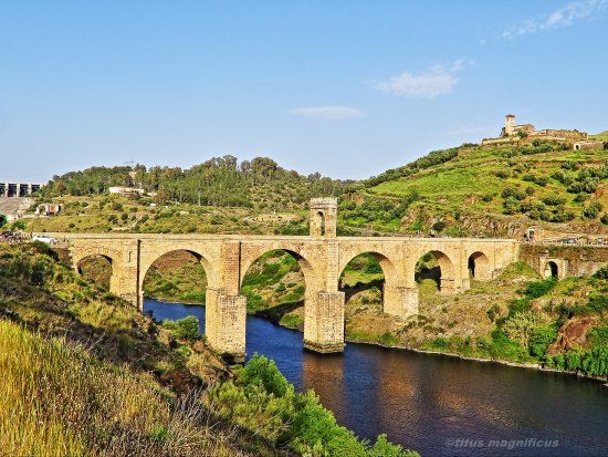 Alcantara Bridge