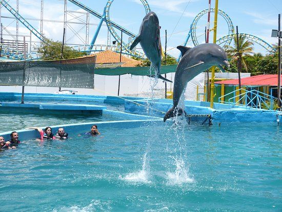 Waterland Mundo Marino