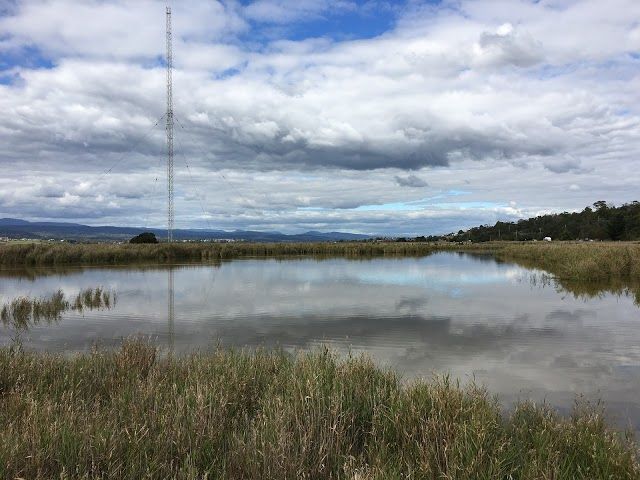 Tamar Island Wetlands