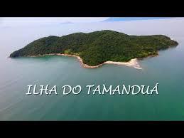 Isla de Tamandua