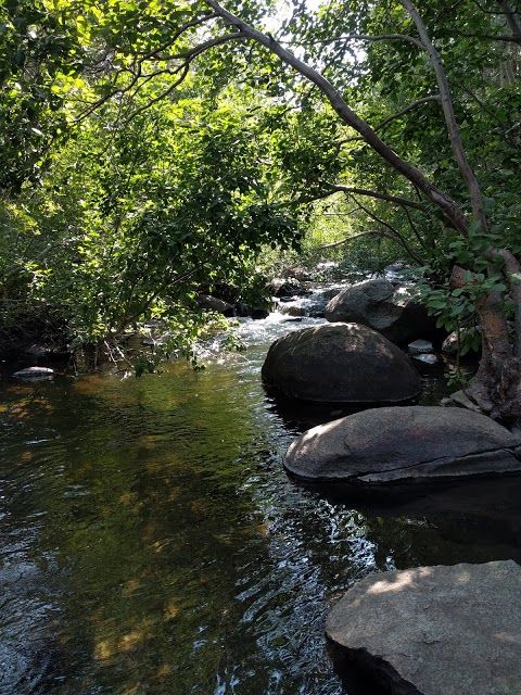 Mammoth Creek Park