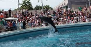 The Museum of Natural Sciences Constanta