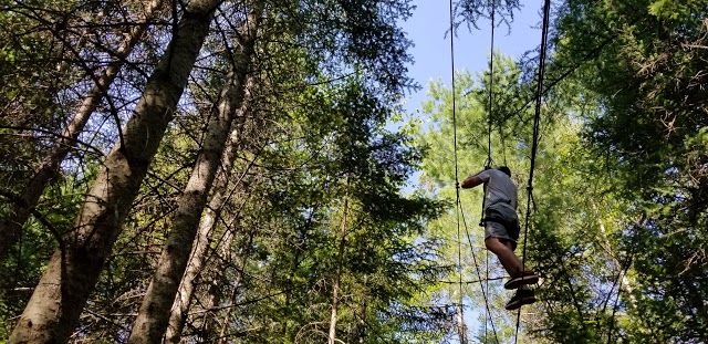 TreeGO Moncton
