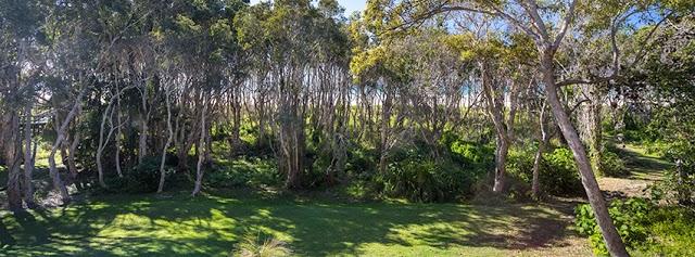 Sisco's Philly Cheez