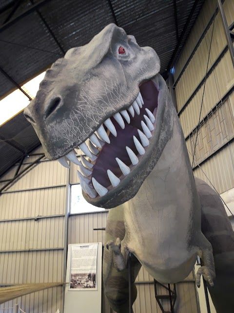 Museum of Natural History