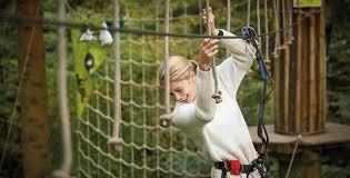 Go Ape Moors Valley