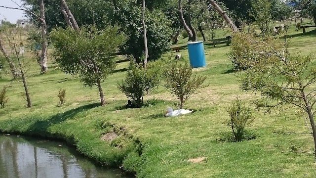 Recreativo El Ameyal Park