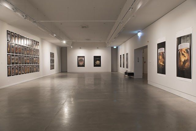 The Dowse Art Museum and Dowse Square