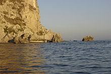 Capo d'Armi