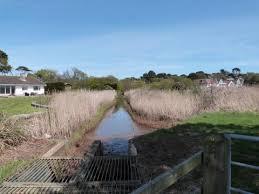 Luscombe Valley Nature Reserve