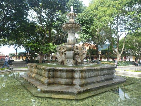 The Plaza Central Park