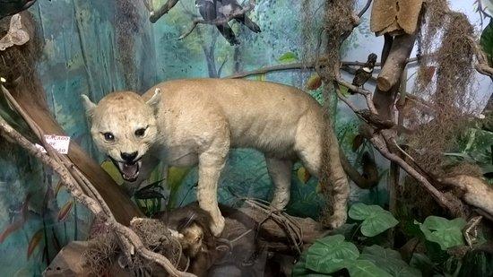 Natural History Museum