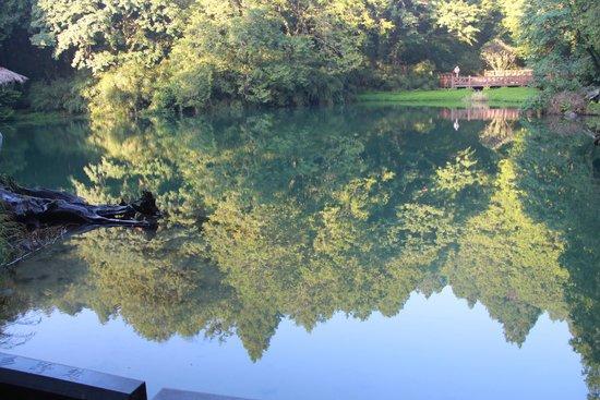 Alishan National Forest Recreation Area