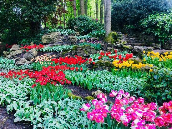 Keukenhof Gardens