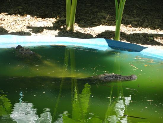 Salvador Zoo and Botanical Park