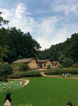 Zhonggong Xiangqu Committee Site