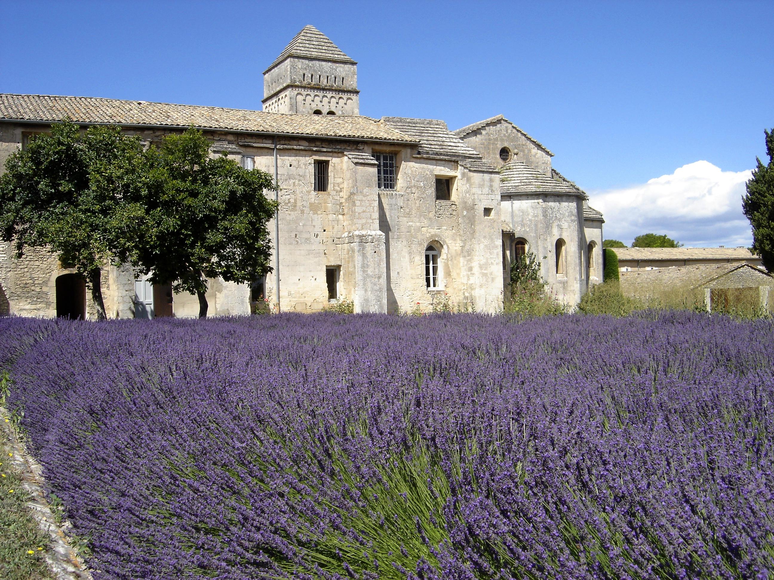 Monastery of Saint-Paul-de-Mausole
