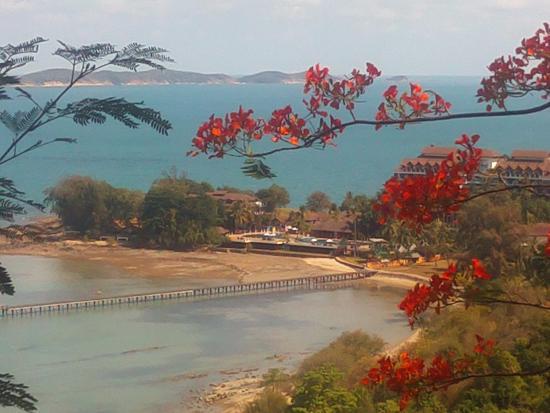 Captain's Table Terrace