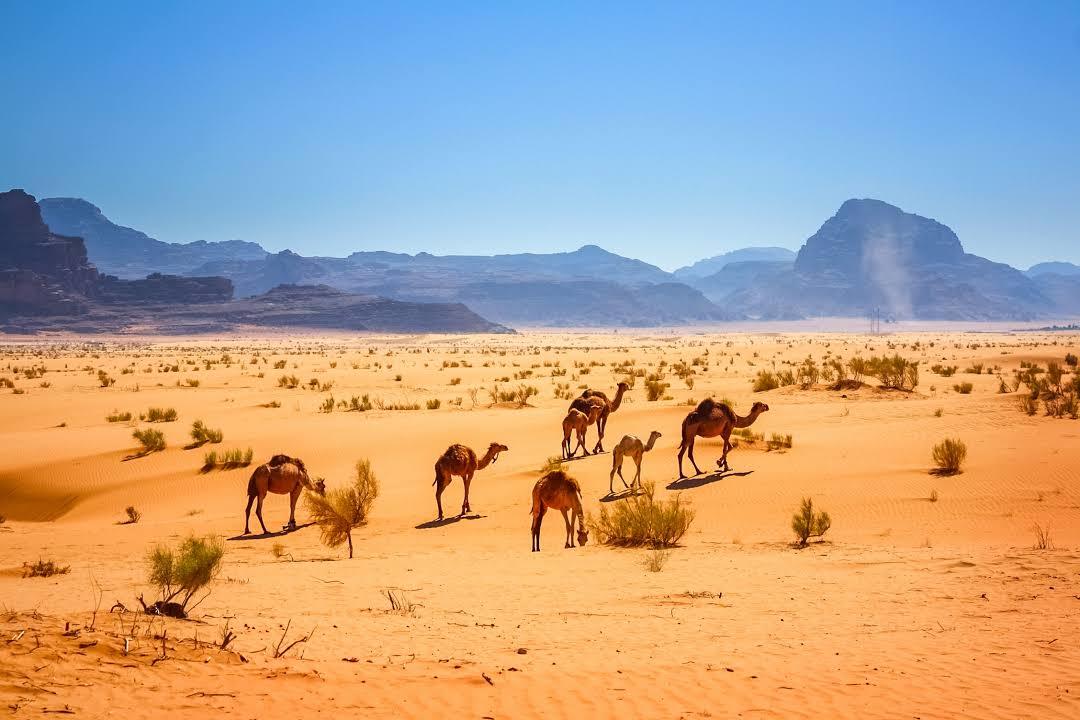 Wadi Rum