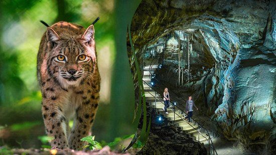 Domain of the Caves of Han