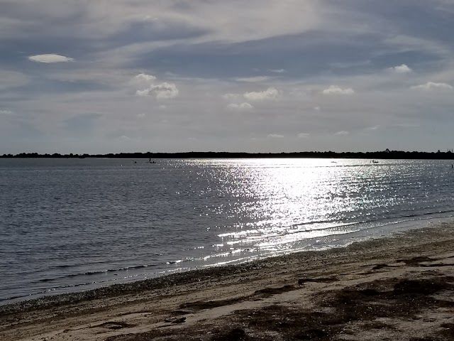 Dunedin Causeway