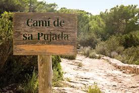 Cami de Sa pujada