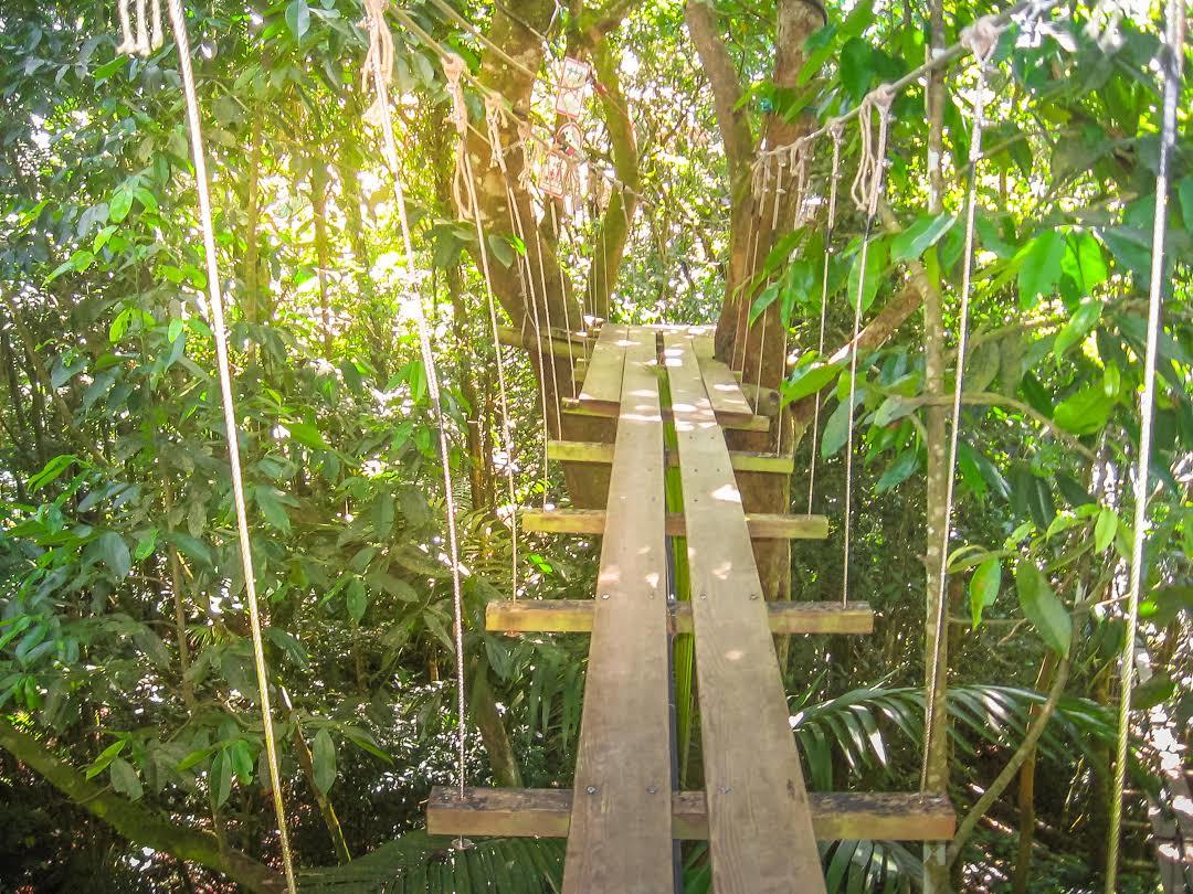 Zoo de Guadeloupe au Parc des Mamelles
