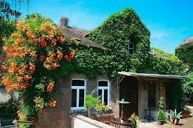 Weingut Dr. Heinrich Nagler