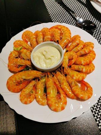 El Rincon-Casa Sadia