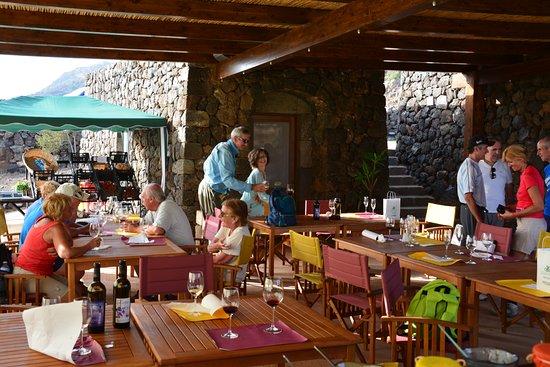 Azienda agricola e. Bonomo