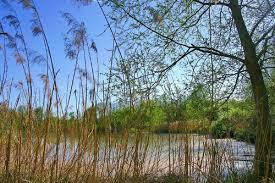 National Nature Reserve of La Petite Camargue
