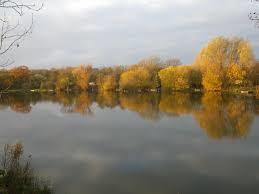 Haverholme Park Lake